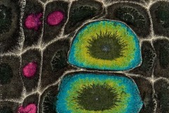 Cosmic Tessera
